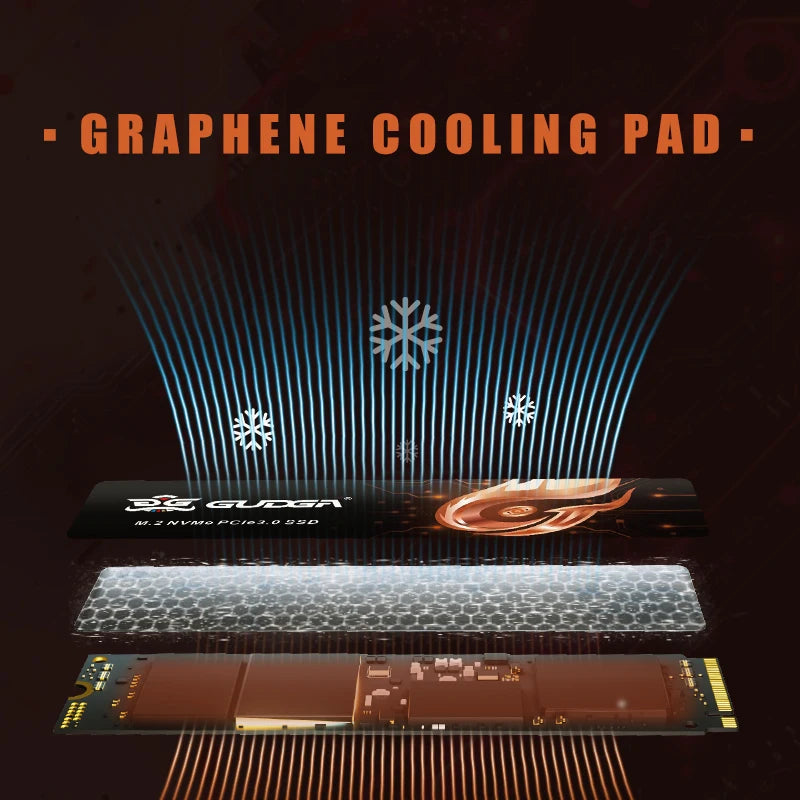 GUDGA NVME SSD PCIe 3.0 128GB 256GB 512GB 1TB