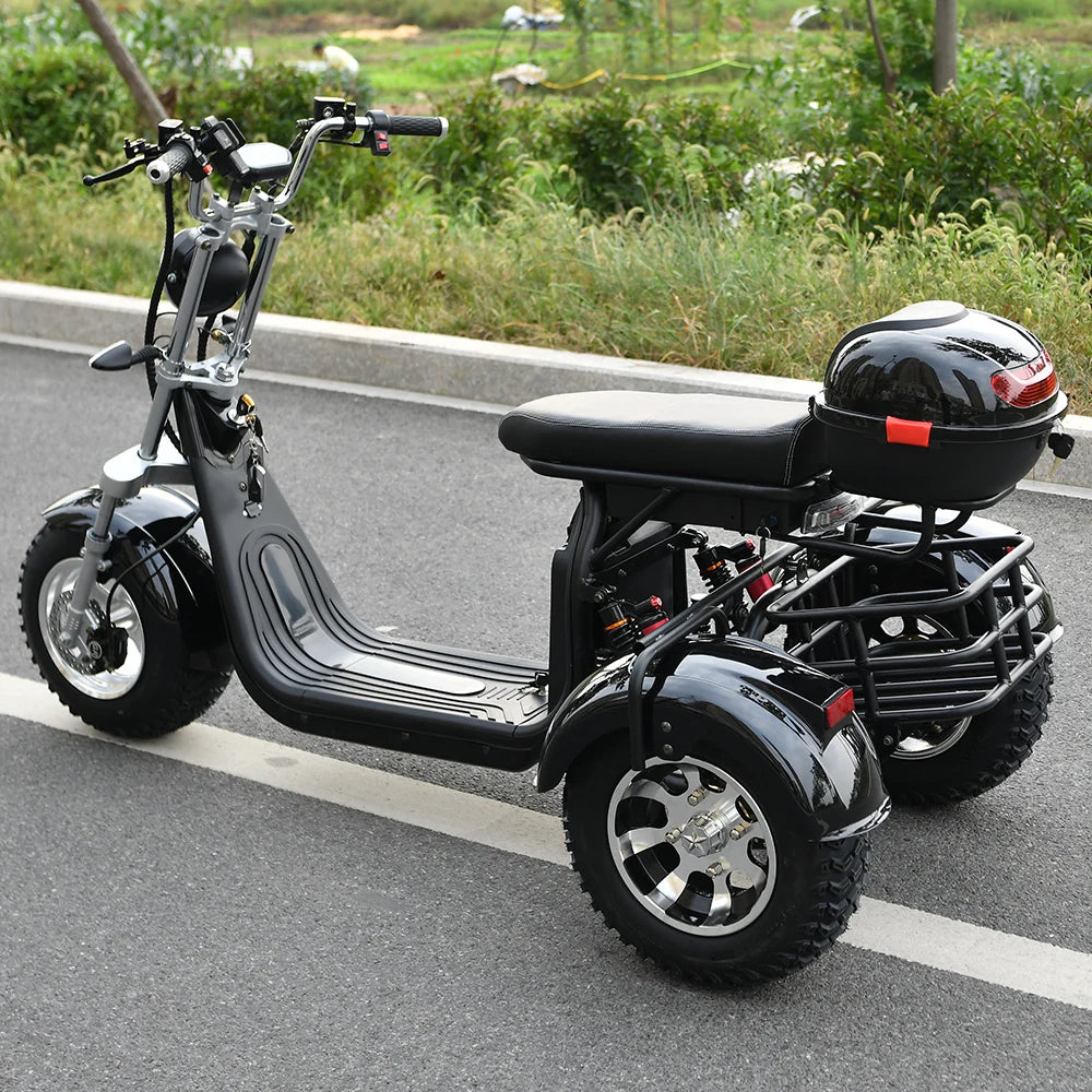 HOODAX Adult Electric 3 Wheel Scooter
