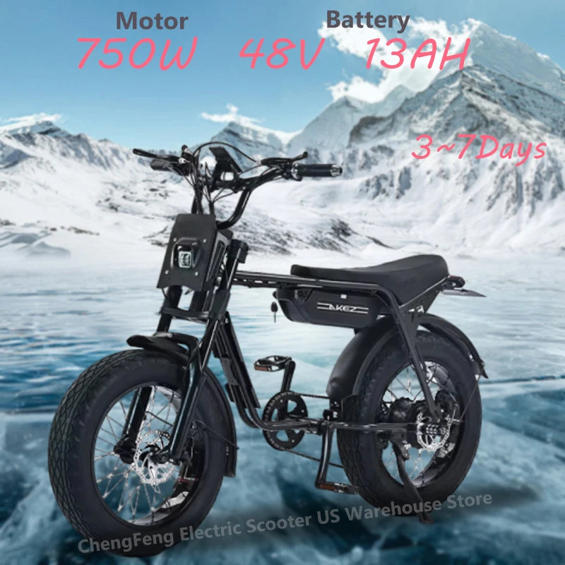 E-bike AKEZ-ZX 750W motor 48V 13AH battery, 20-inch fat tires