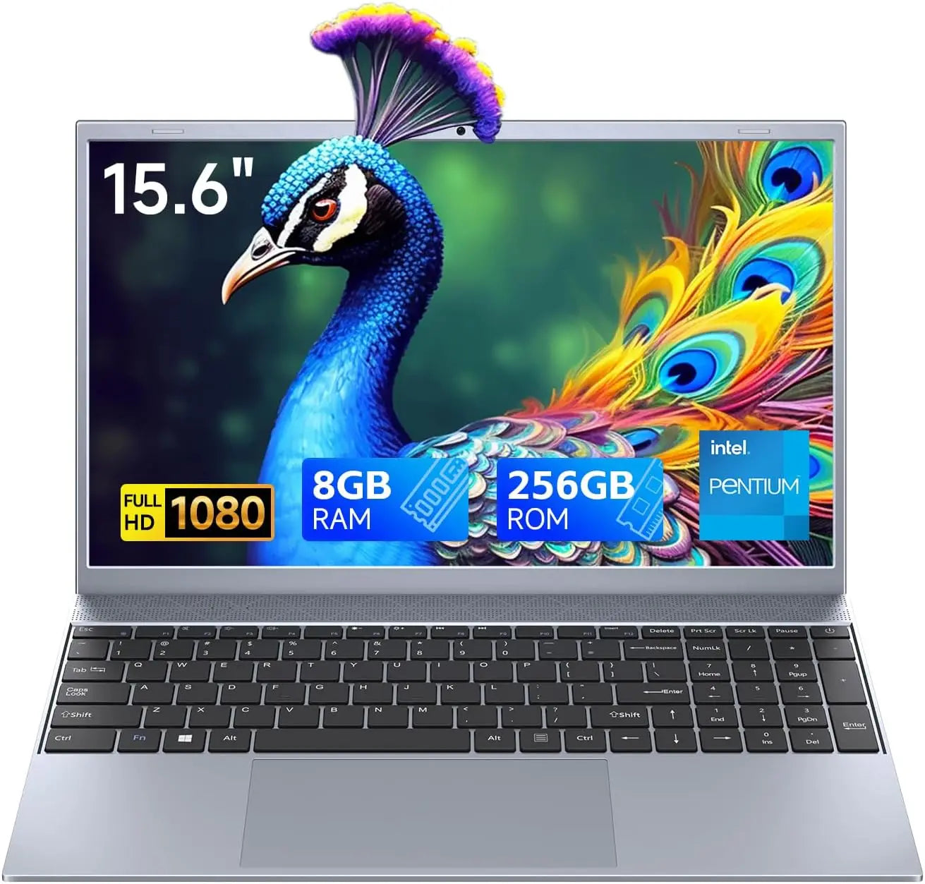 15.6 Inch Laptop J3710 8GB RAM 256GB SSD
