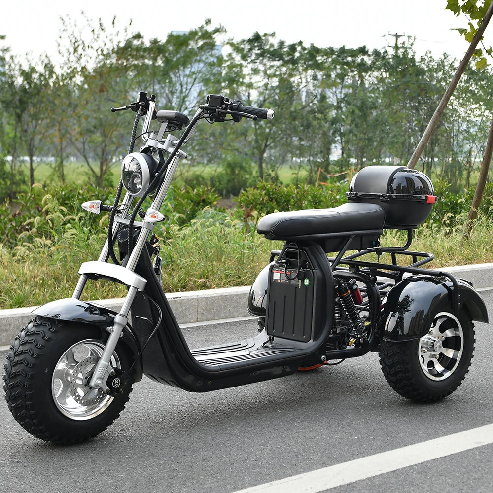 HOODAX Adult Electric 3 Wheel Scooter