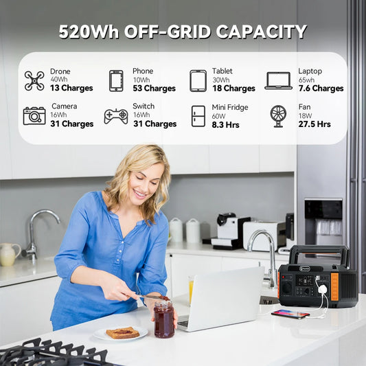 FF FlashFish Power Station 560W Portable Solar Generator