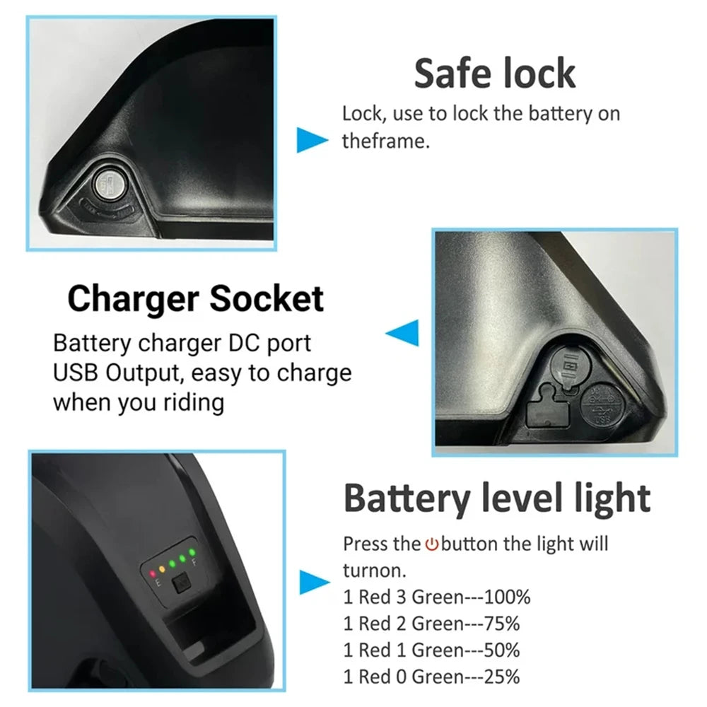 36V 48V 52V Hailong Ebike Battery with Charger