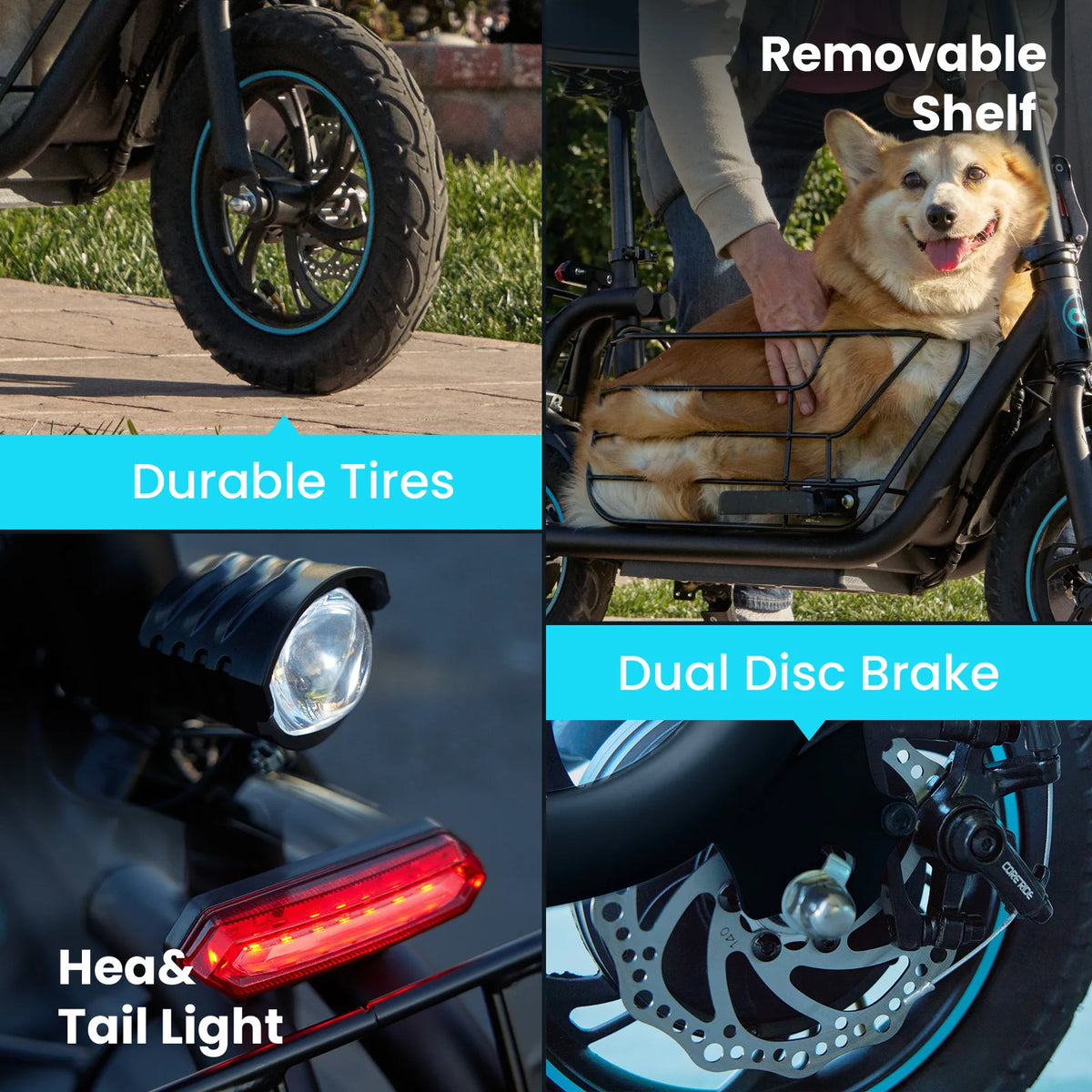Gyroor Electric Scooter with Basket for Pet