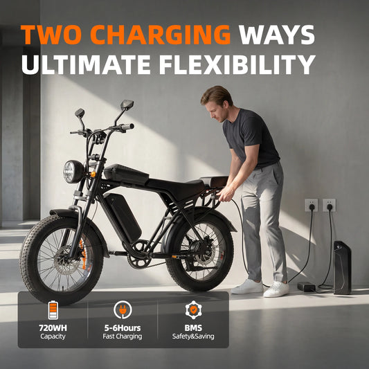 Aairsk X5 20 Inch Fat Tire All Terrain Electric Bike 1500W
