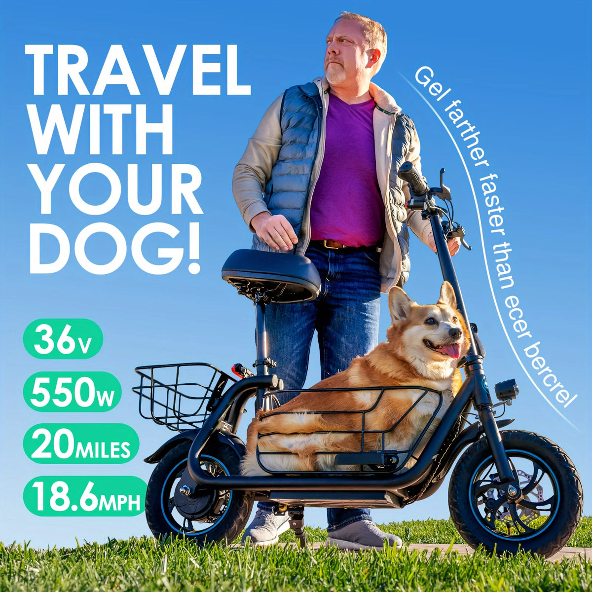Gyroor Electric Scooter with Basket for Pet