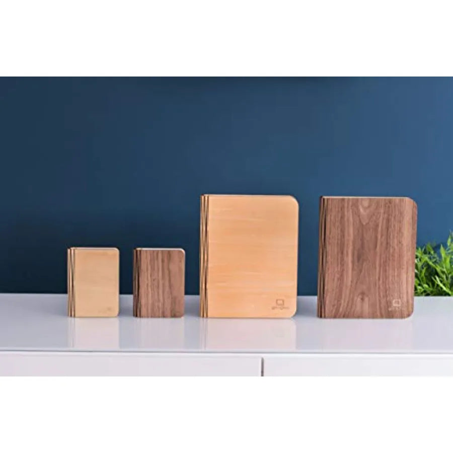 LED Mini Smart Book Desk Light