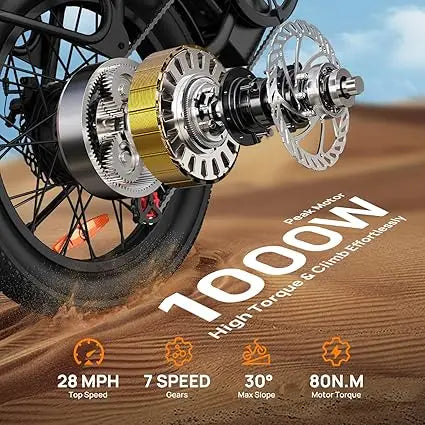 URLIFE 1000W E20 Electric Bike