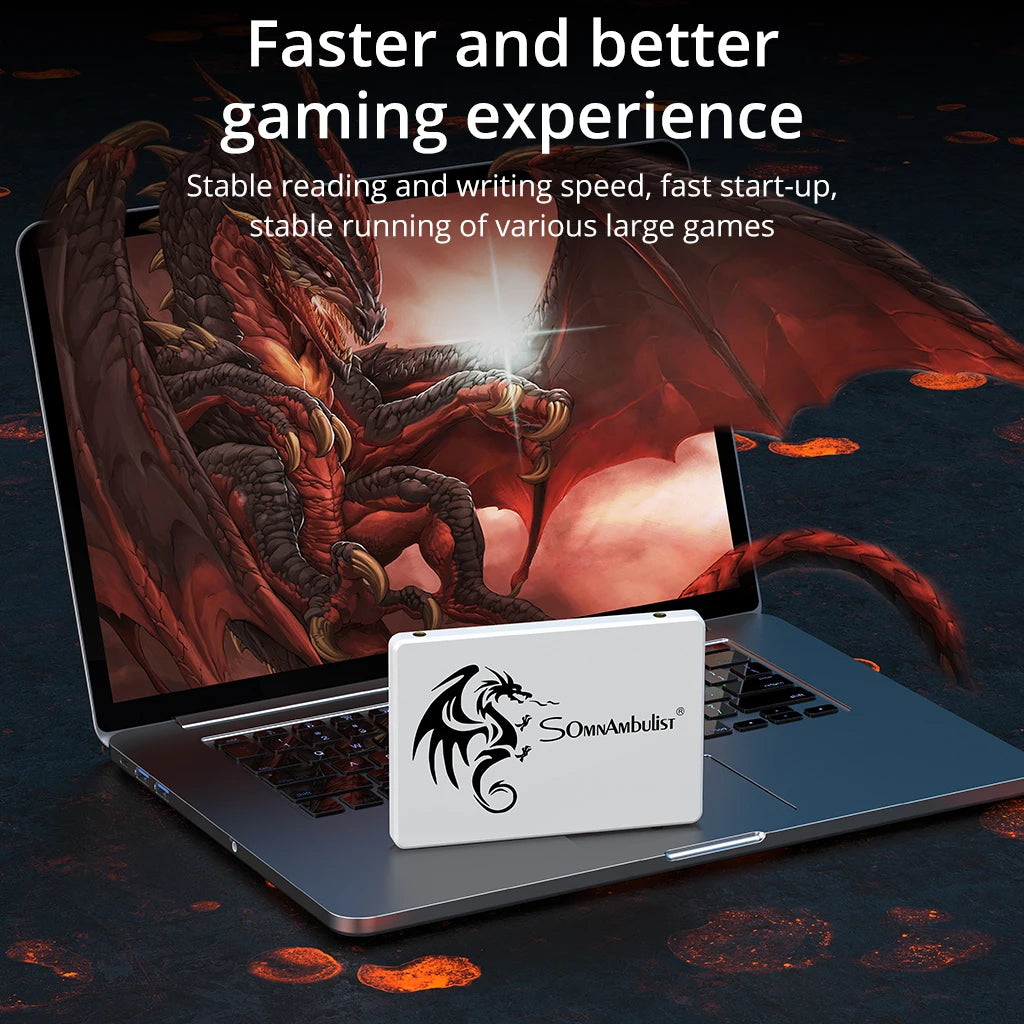 SomnAmbulist SSD 2.5" 64GB 128GB 256GB 512GB