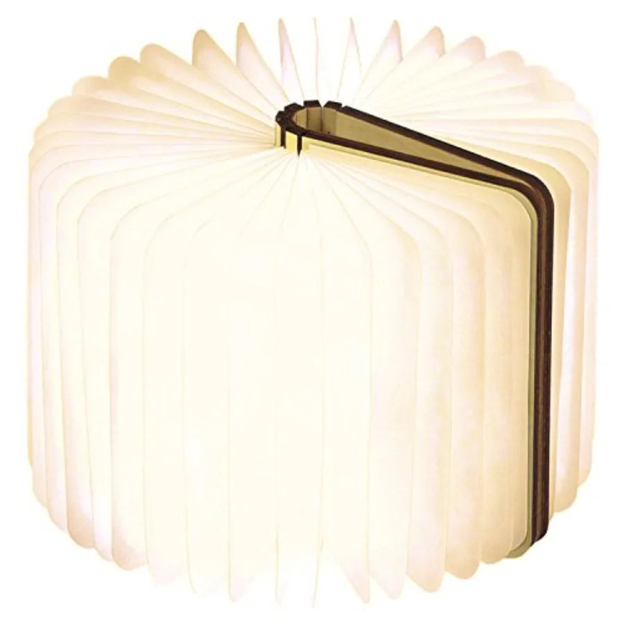 LED Mini Smart Book Desk Light