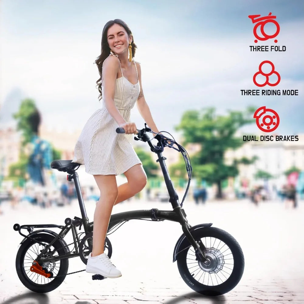 Folding Electric Bike for Adults