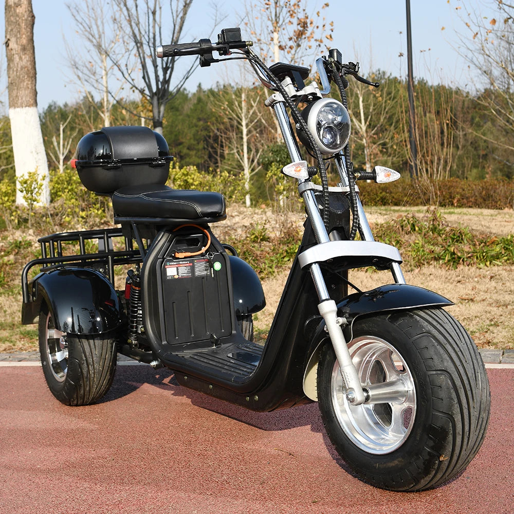 3 Wheel Three Speed Regulation 3000W Off Road