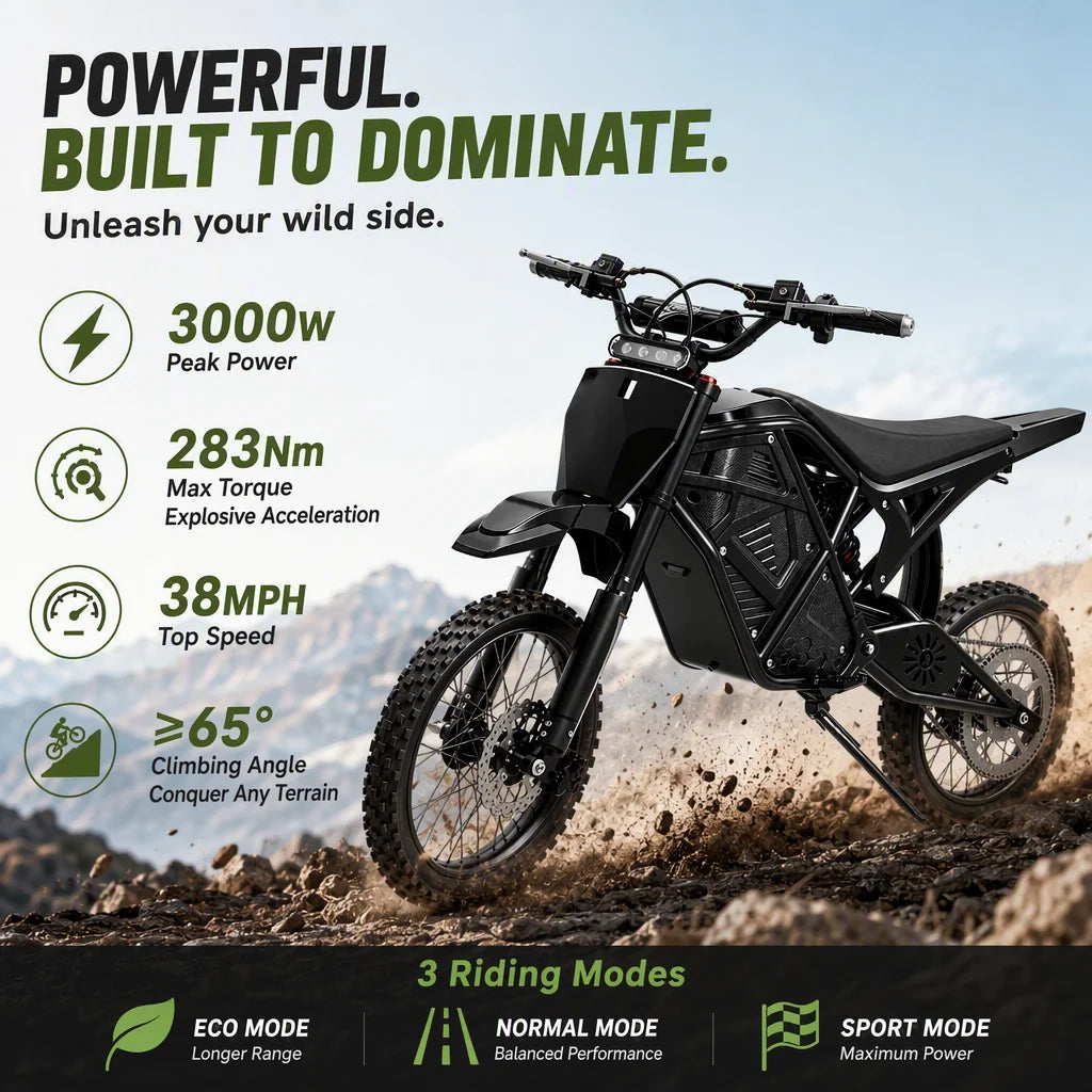 3000W Peak Electric Dirt Bike 48V 20.8Ah Battery 38MPH Adult