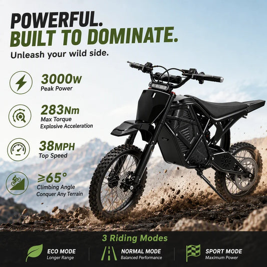 3000W Peak Electric Dirt Bike 48V 20.8Ah Battery 38MPH Adult