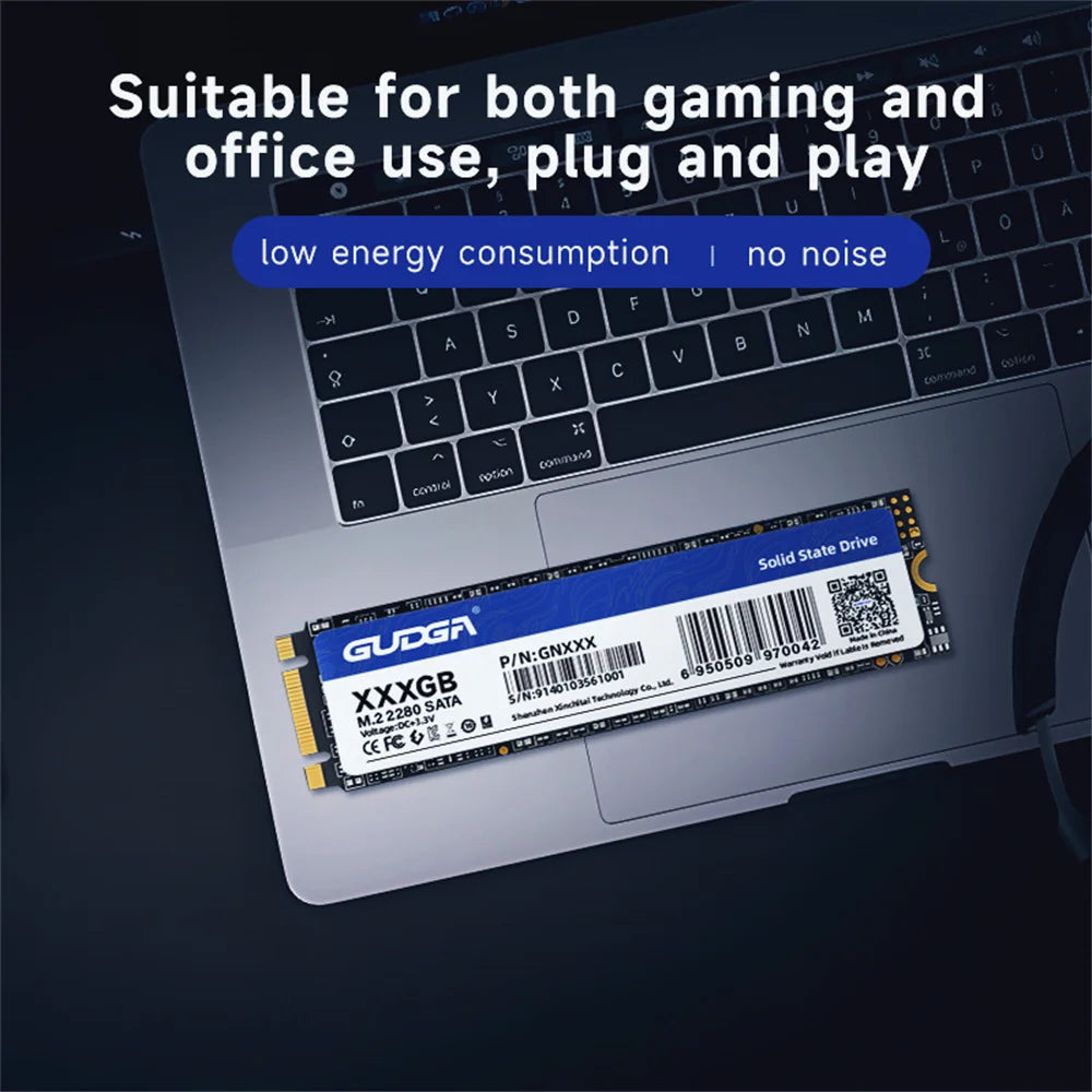 GUDGA M2 NGFF SSD SATA 128GB 256GB 512GB 1TB