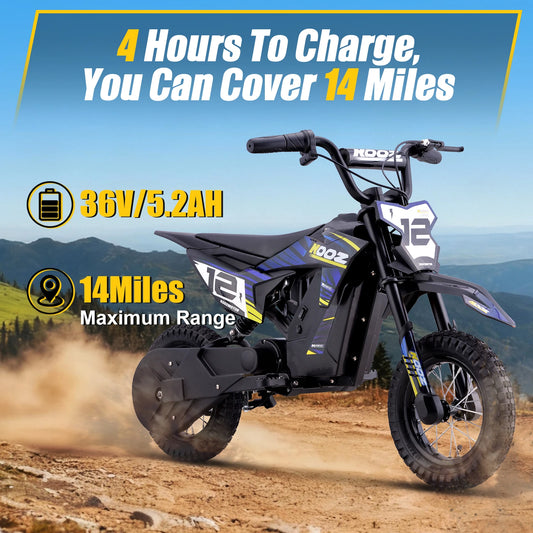 KOOZ HP122E 36V 300W Electric Dirt Bike  for Kids