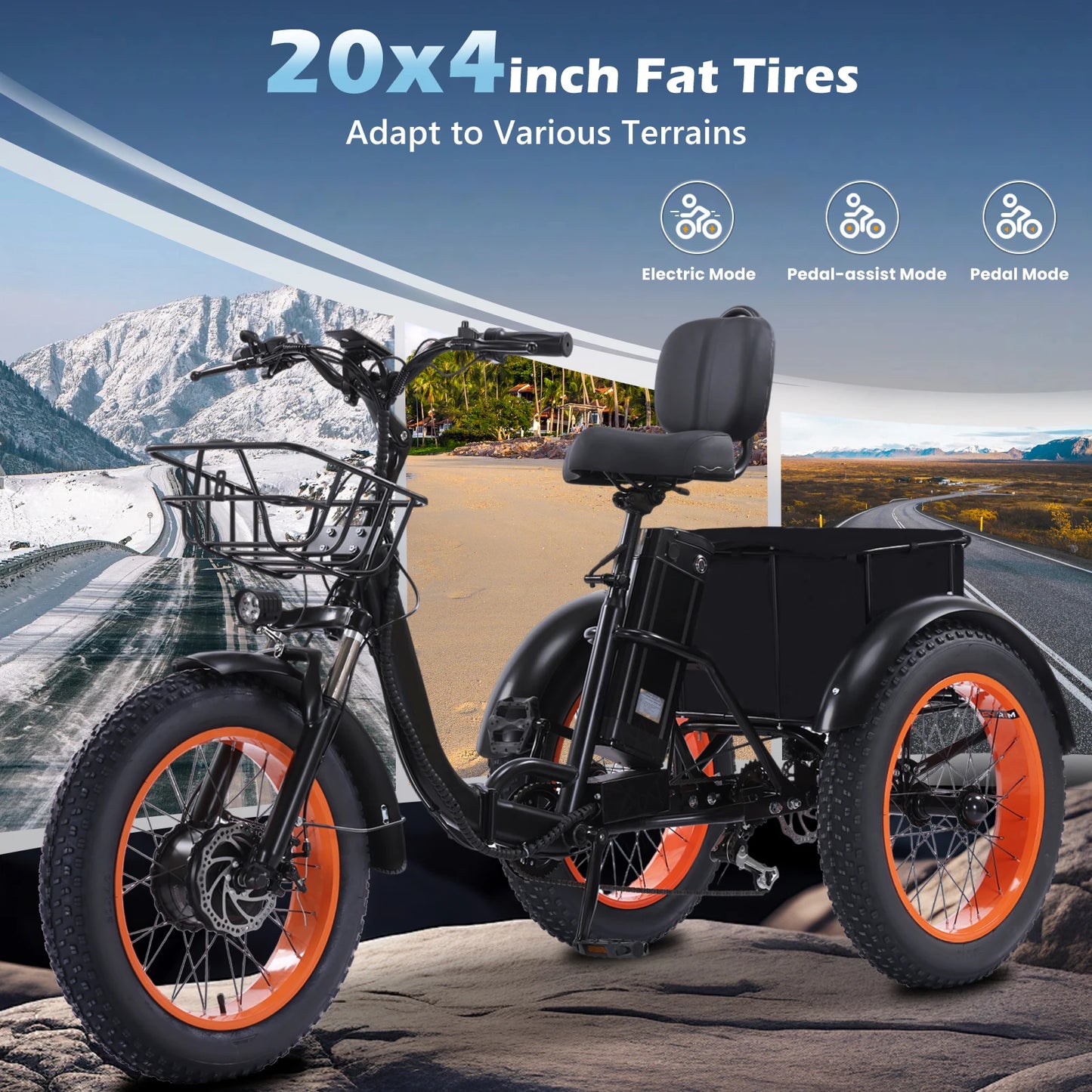 Shimano Adult Electric Tricycle