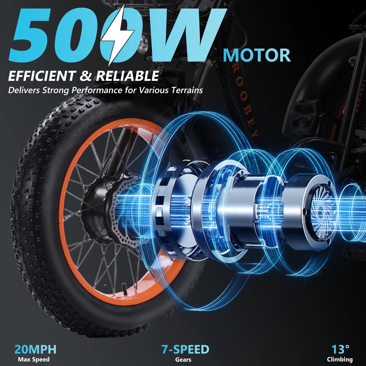 Shimano Adult Electric Tricycle