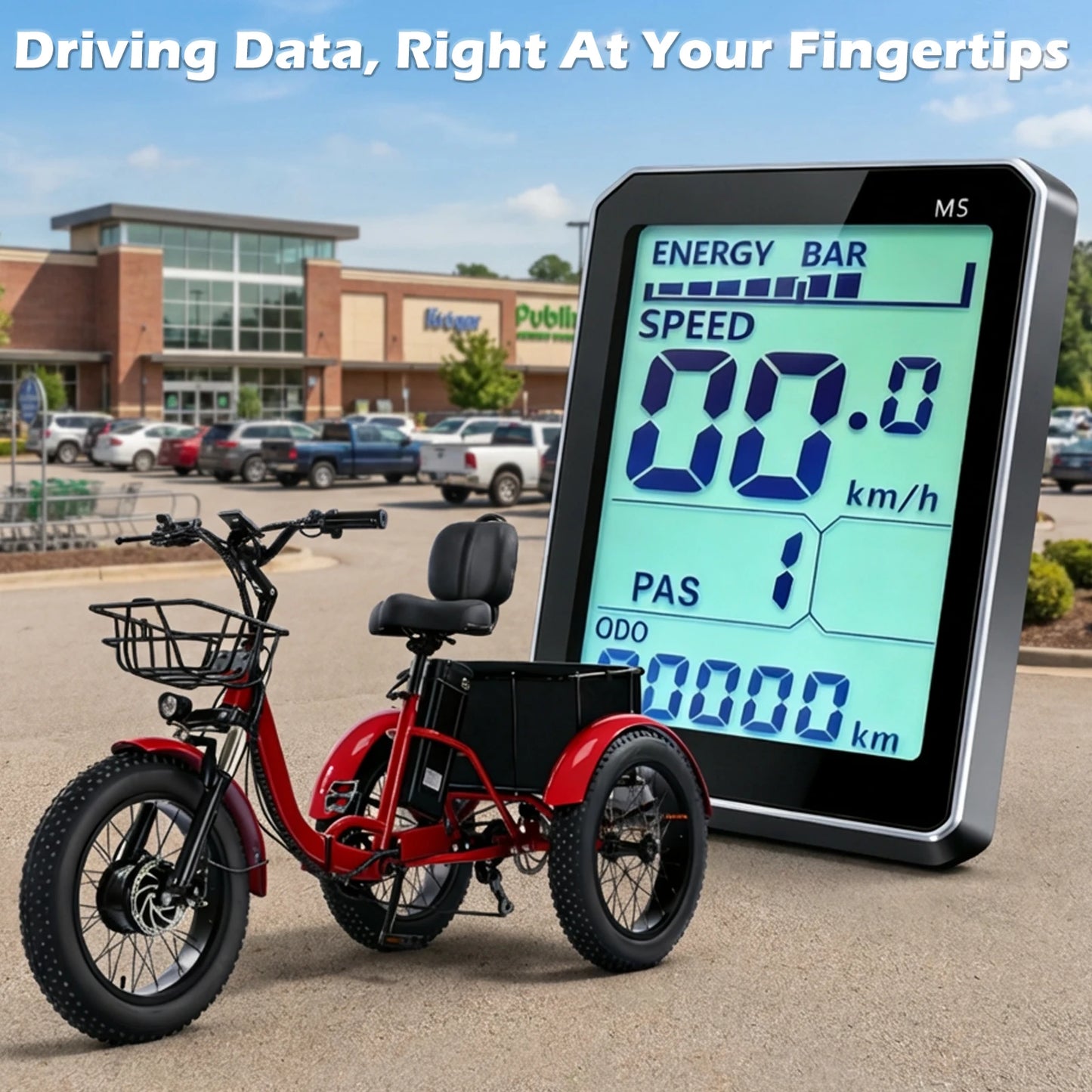 Shimano Adult Electric Tricycle