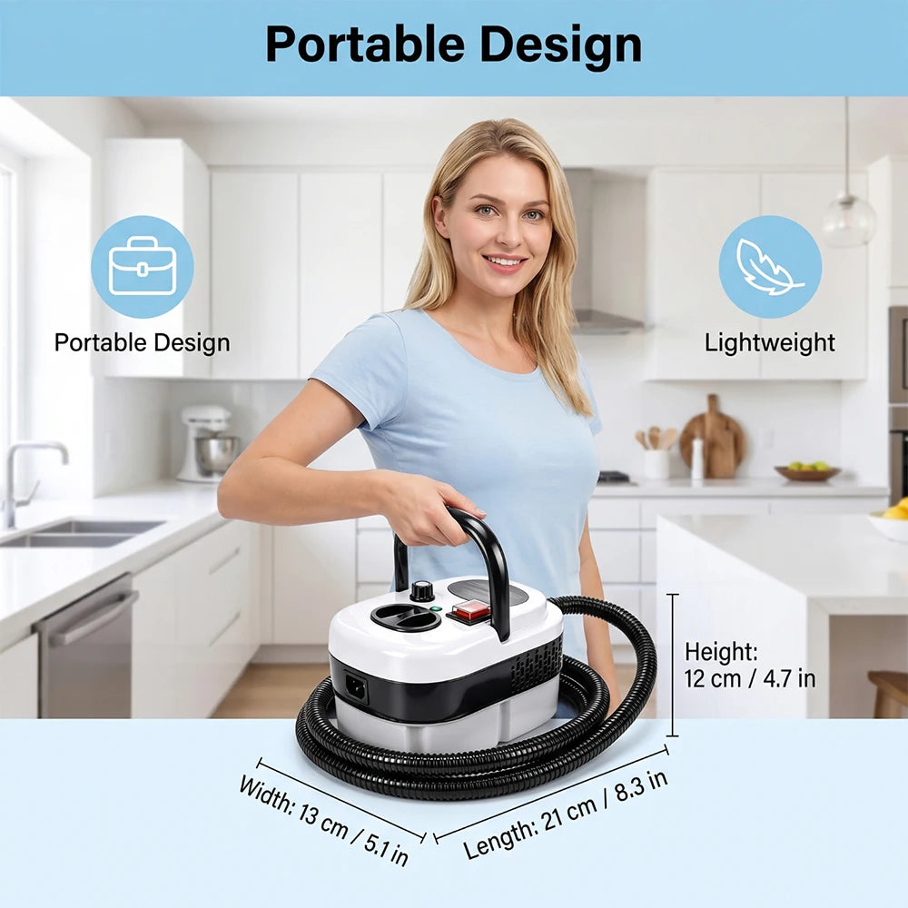 2500W High Pressure Steam Cleaner Portable